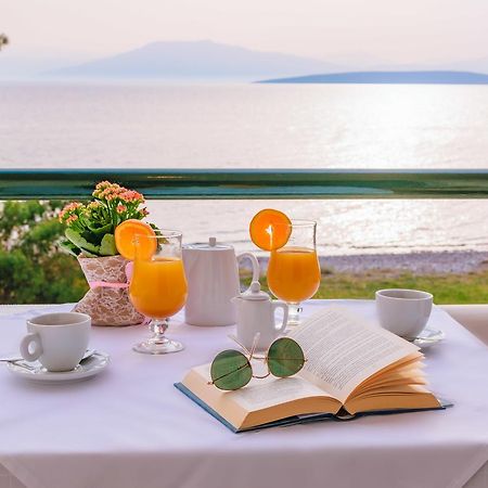 Junior Hotel إريا المظهر الخارجي الصورة